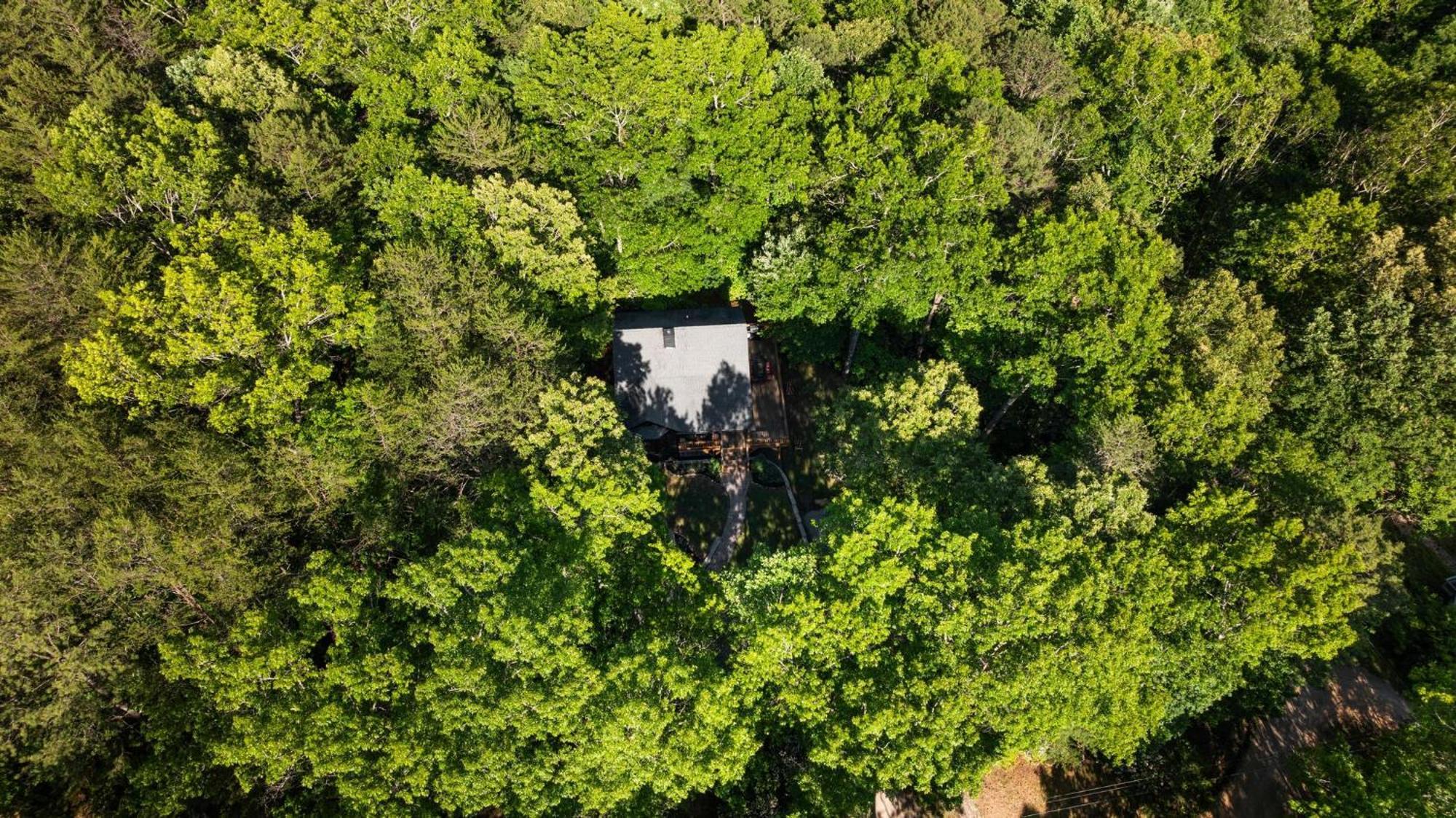 Serene Mountain And Sunset Views 3Bd Cabin Franklin Extérieur photo